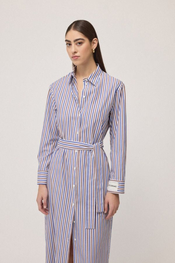 Stripe Poplin Shirtdress